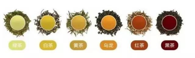 六大基本茶類.jpg