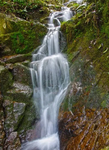 山泉水水质